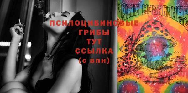 наркотики Бородино