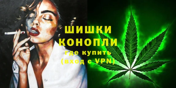 стаф Волоколамск