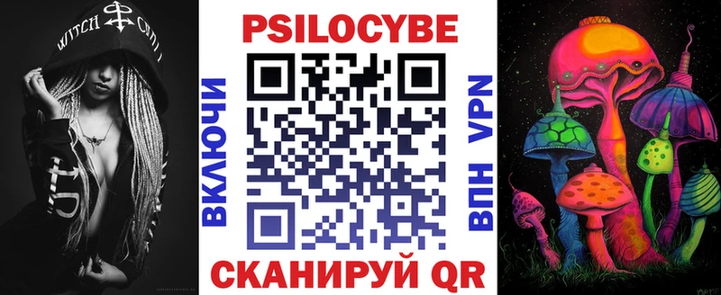 Купить где  Осинники  Псилоцибиновые грибы GOLDEN TEACHER 